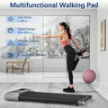 300lbs Treadmill for Home 2.5HP Treadmills Walking Pad LCD Digital Data Display 2in1 Walking Running Fitness Exercise Machine - Orantek -